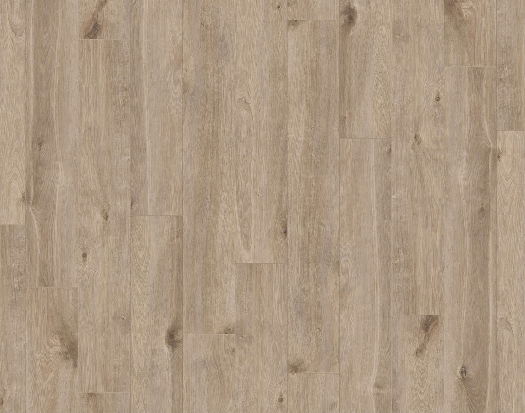 Laminat Eurus Oak